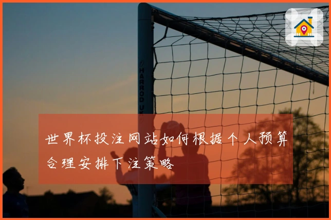 世界杯投注网站如何根据个人预算合理安排下注策略