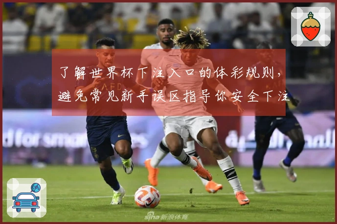 了解世界杯下注入口的体彩规则，避免常见新手误区指导你安全下注
