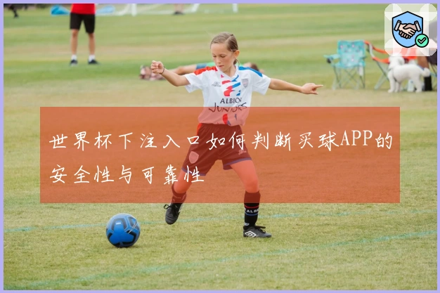 世界杯下注入口如何判断买球APP的安全性与可靠性