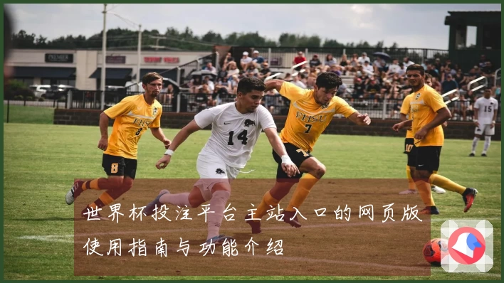 世界杯投注平台主站入口的网页版使用指南与功能介绍
