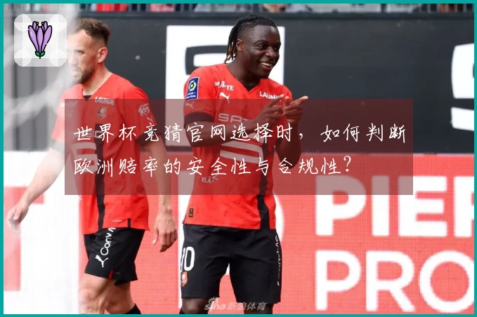 世界杯竞猜官网选择时，如何判断欧洲赔率的安全性与合规性？