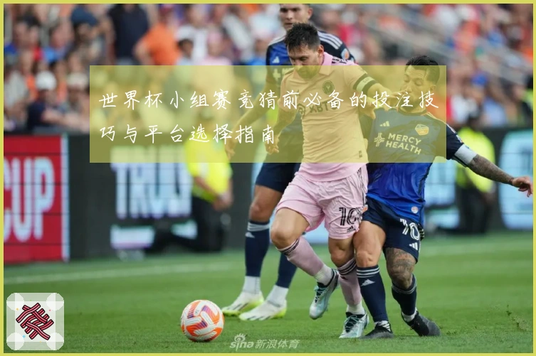 世界杯小组赛竞猜前必备的投注技巧与平台选择指南