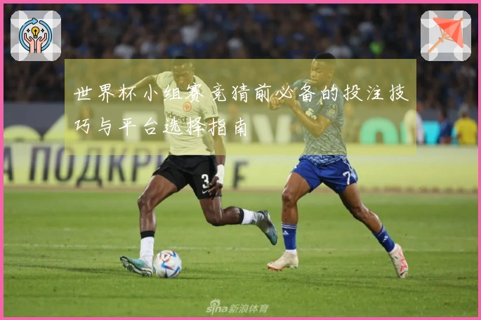 世界杯小组赛竞猜前必备的投注技巧与平台选择指南