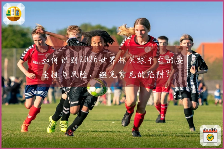 如何识别2026世界杯买球平台的安全性与风险,避免常见的陷阱?