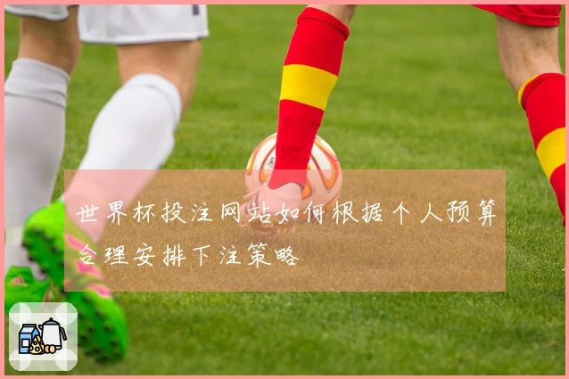 世界杯投注网站如何根据个人预算合理安排下注策略