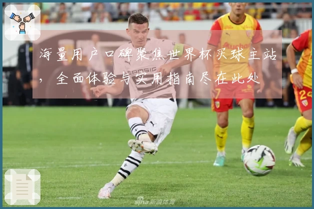 海量用户口碑聚焦世界杯买球主站，全面体验与实用指南尽在此处