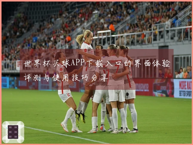 世界杯买球APP下载入口的界面体验评测与使用技巧分享