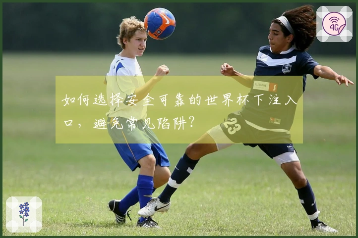 如何选择安全可靠的世界杯下注入口,避免常见陷阱?