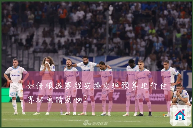 如何根据赛程安排合理预算进行世界杯竞猜购物?
