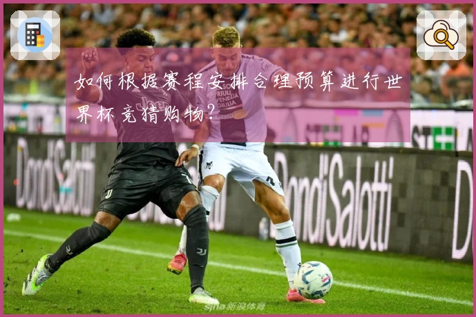 如何根据赛程安排合理预算进行世界杯竞猜购物？