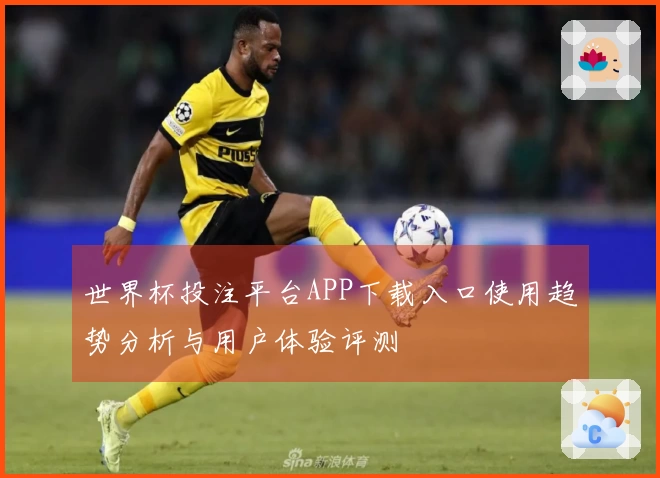 世界杯投注平台APP下载入口使用趋势分析与用户体验评测