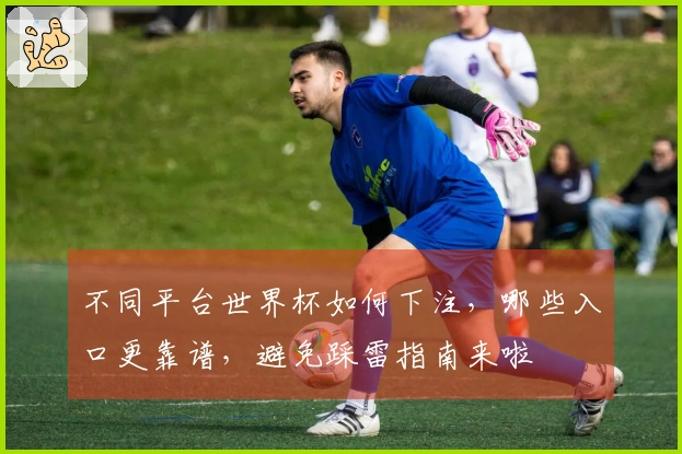 不同平台世界杯如何下注，哪些入口更靠谱，避免踩雷指南来啦
