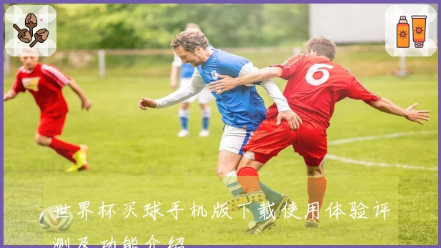 世界杯买球手机版下载使用体验评测及功能介绍