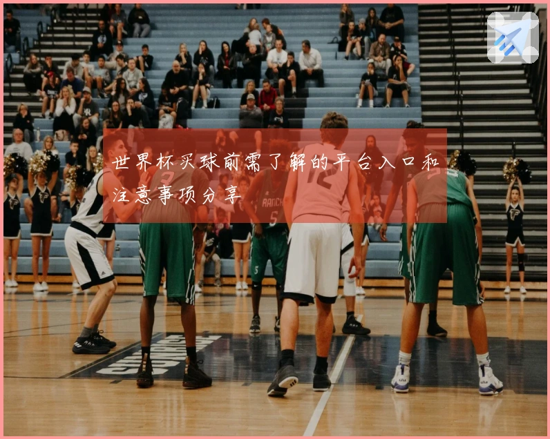世界杯买球前需了解的平台入口和注意事项分享