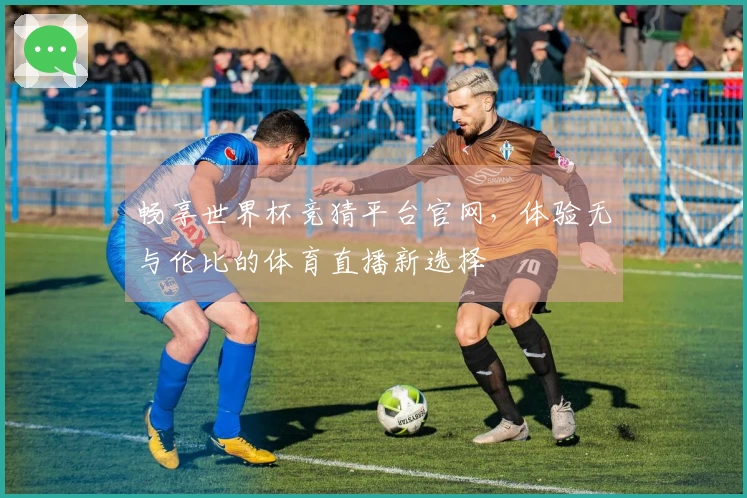 畅享世界杯竞猜平台官网，体验无与伦比的体育直播新选择