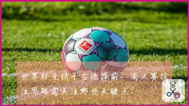 世界杯竞猜平台选择前,淘汰赛投注思路需关注哪些关键点?