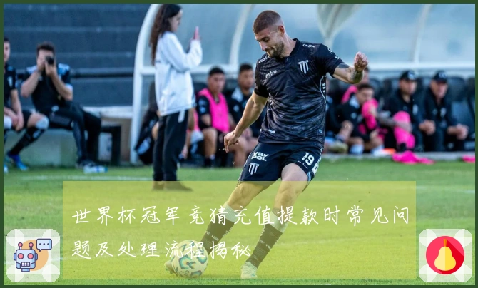 世界杯冠军竞猜充值提款时常见问题及处理流程揭秘