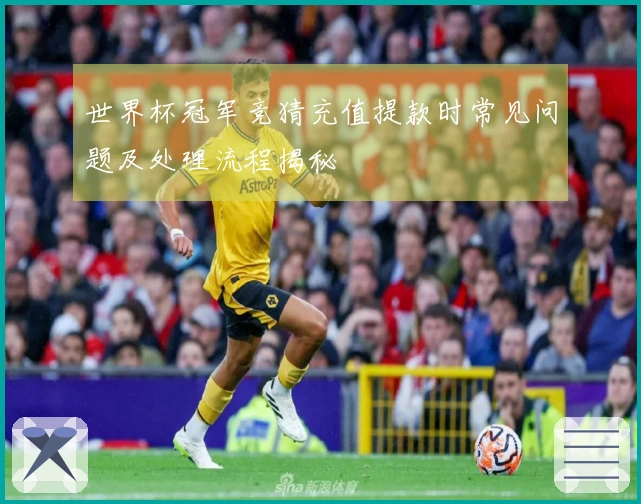 世界杯冠军竞猜充值提款时常见问题及处理流程揭秘