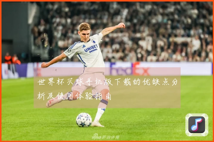 世界杯买球手机版下载的优缺点分析及使用体验指南