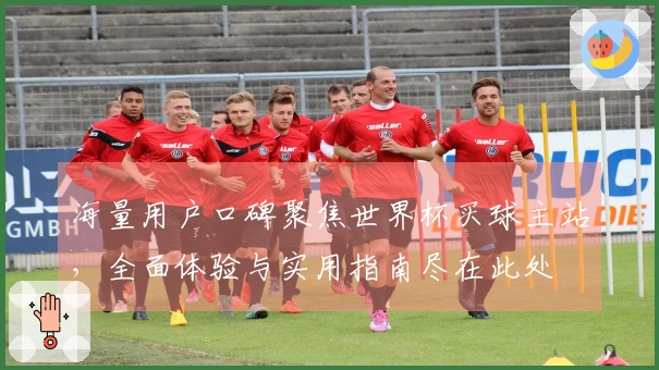 海量用户口碑聚焦世界杯买球主站，全面体验与实用指南尽在此处