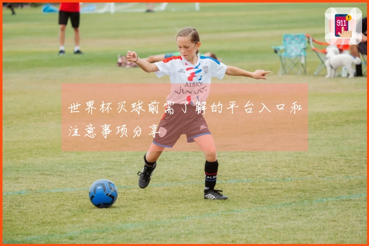 世界杯买球前需了解的平台入口和注意事项分享